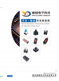 温州迪耀电子科技有限公司 (24)